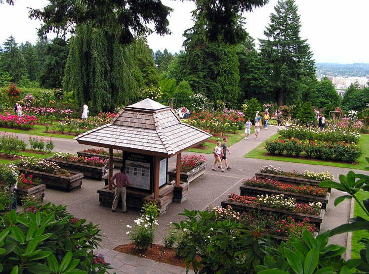 International Rose Test Garden, United States